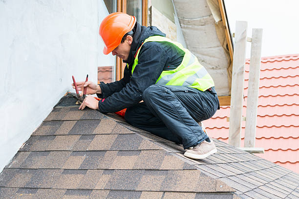 Best Roof Gutter Cleaning  in Conyngham, PA